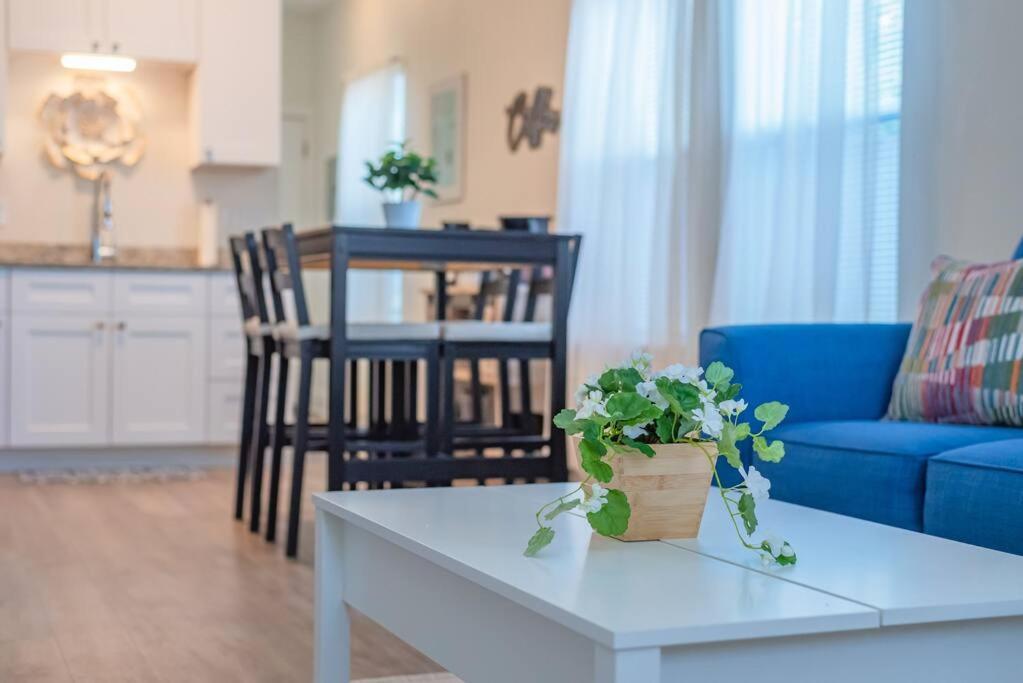Secret Garden Apartment San Antonio Bagian luar foto